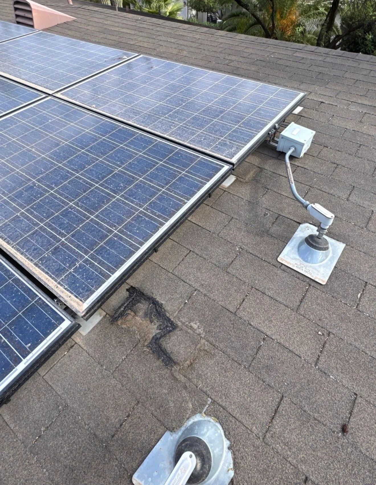 Solar panels mounted on asphalt shingle roof with white electrical connectors and junction boxes