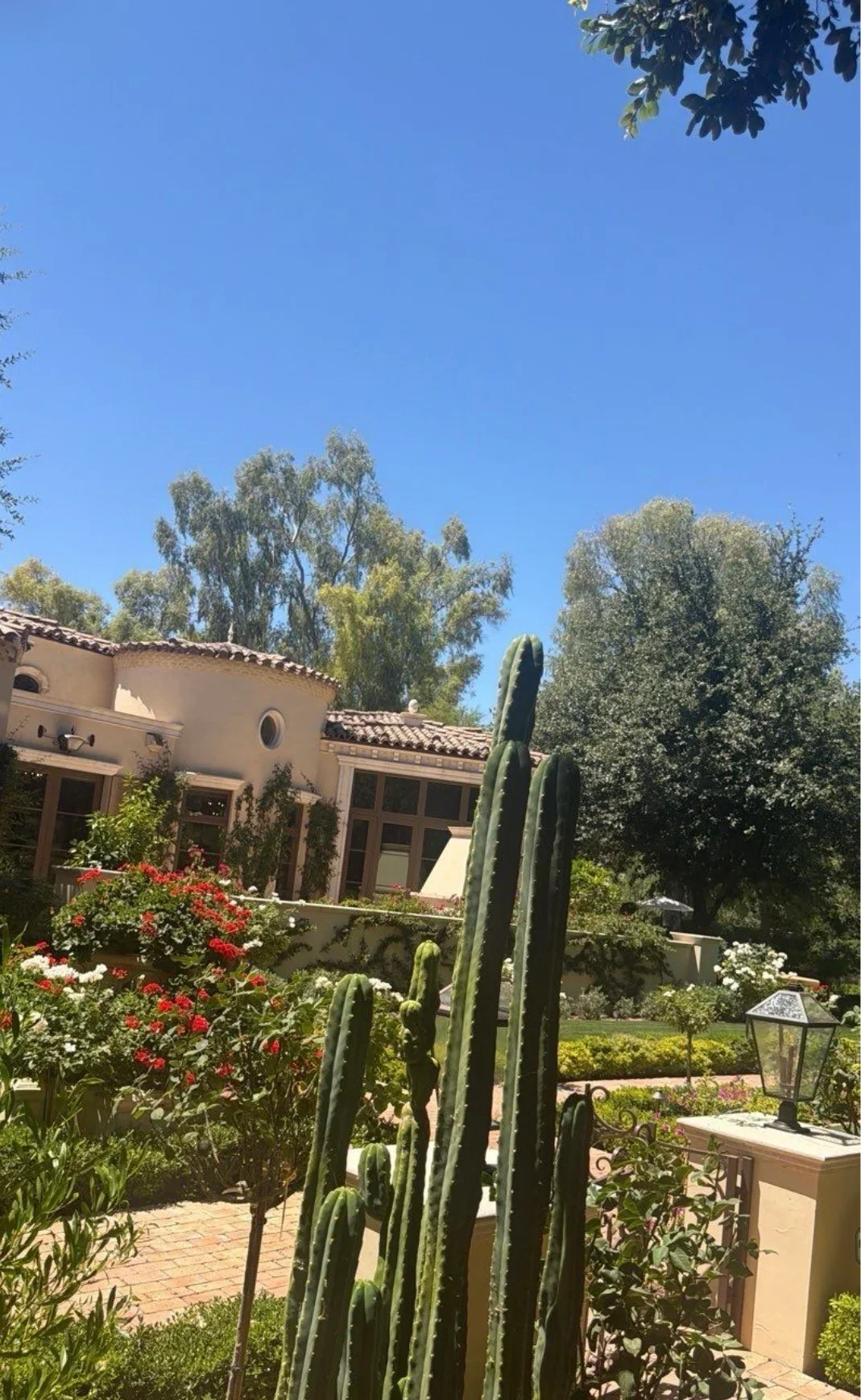 Spanish Colonial building with restored clay barrel tile roof, arched windows, and desert landscaping
