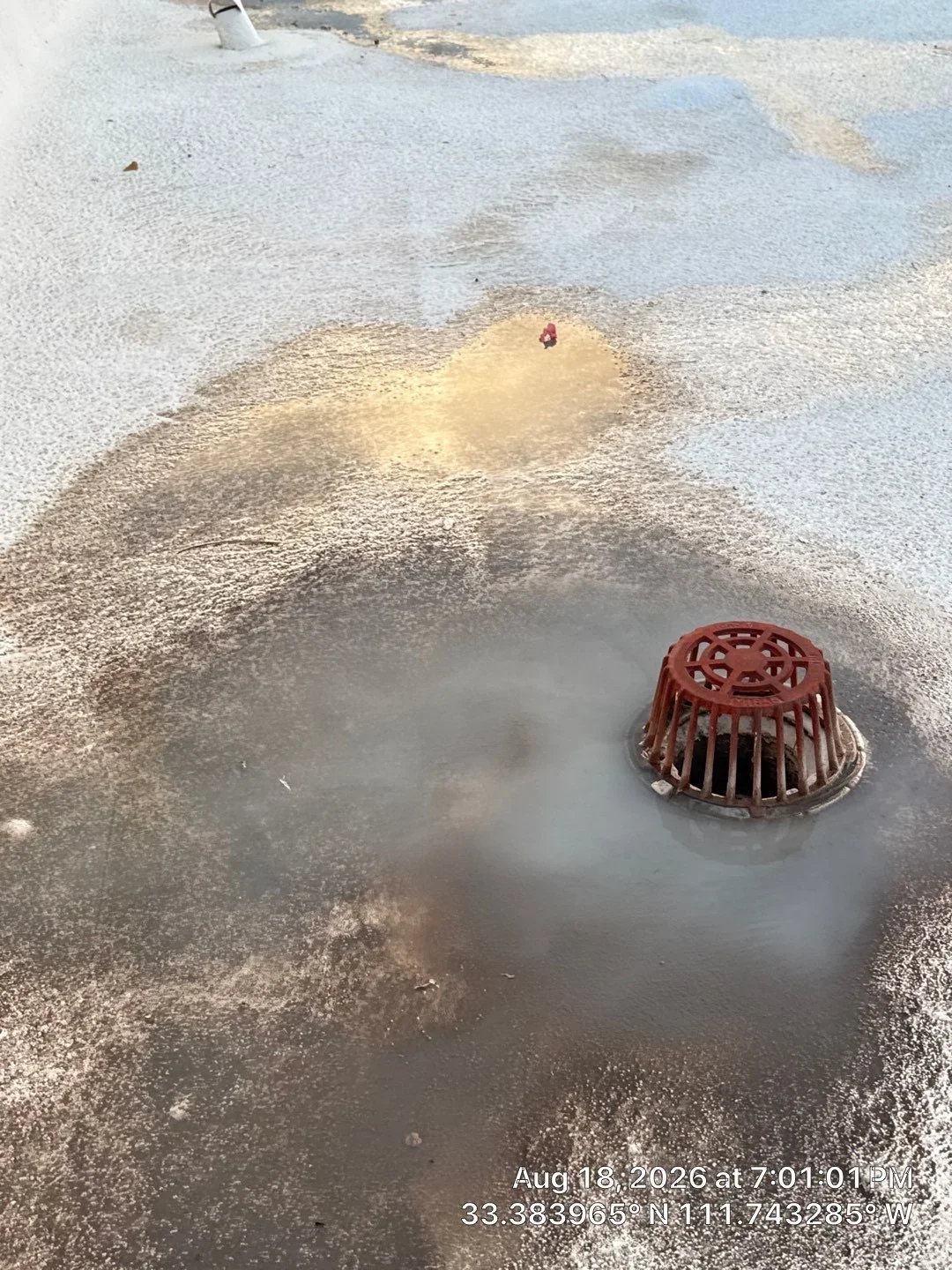 Red dome roof drain strainer installed on concrete roof surface with water drainage visible