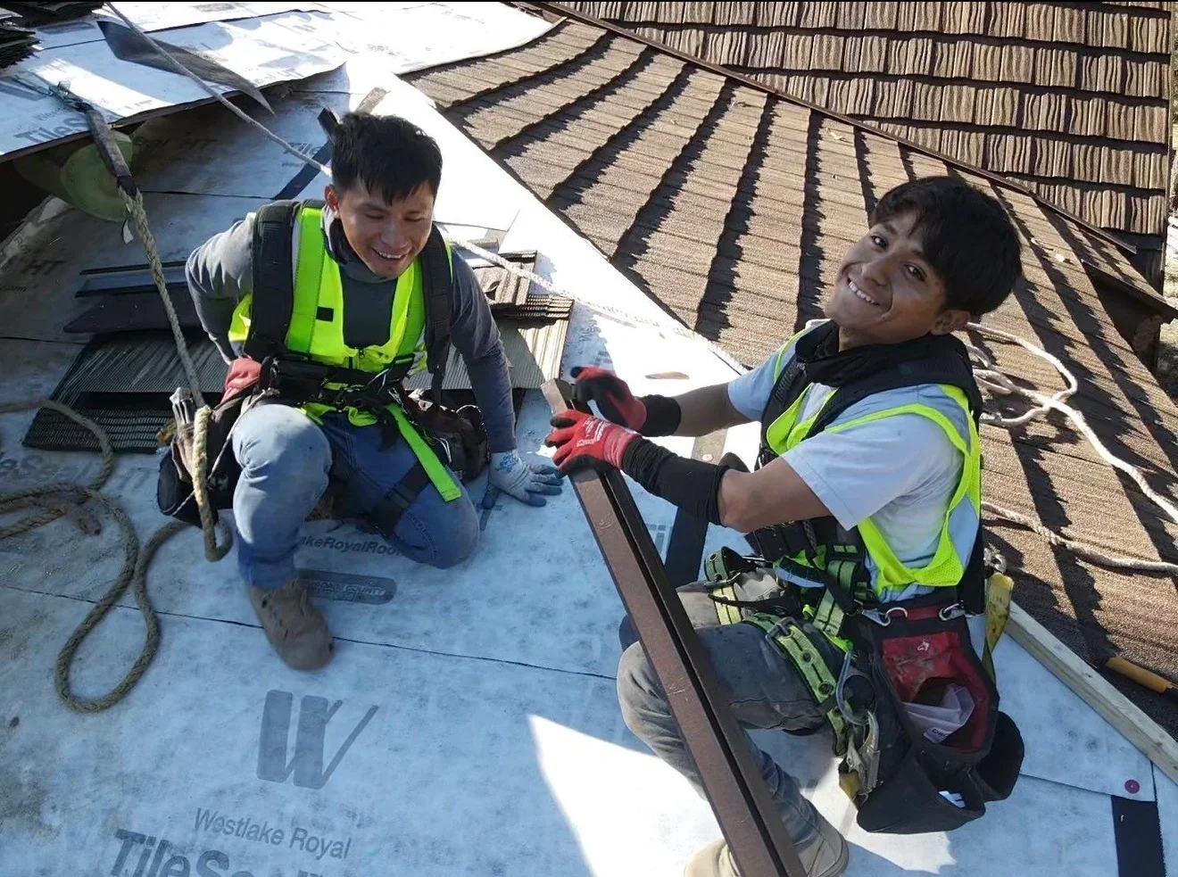 Roofers installing architectural shingles with safety harnesses on residential roof