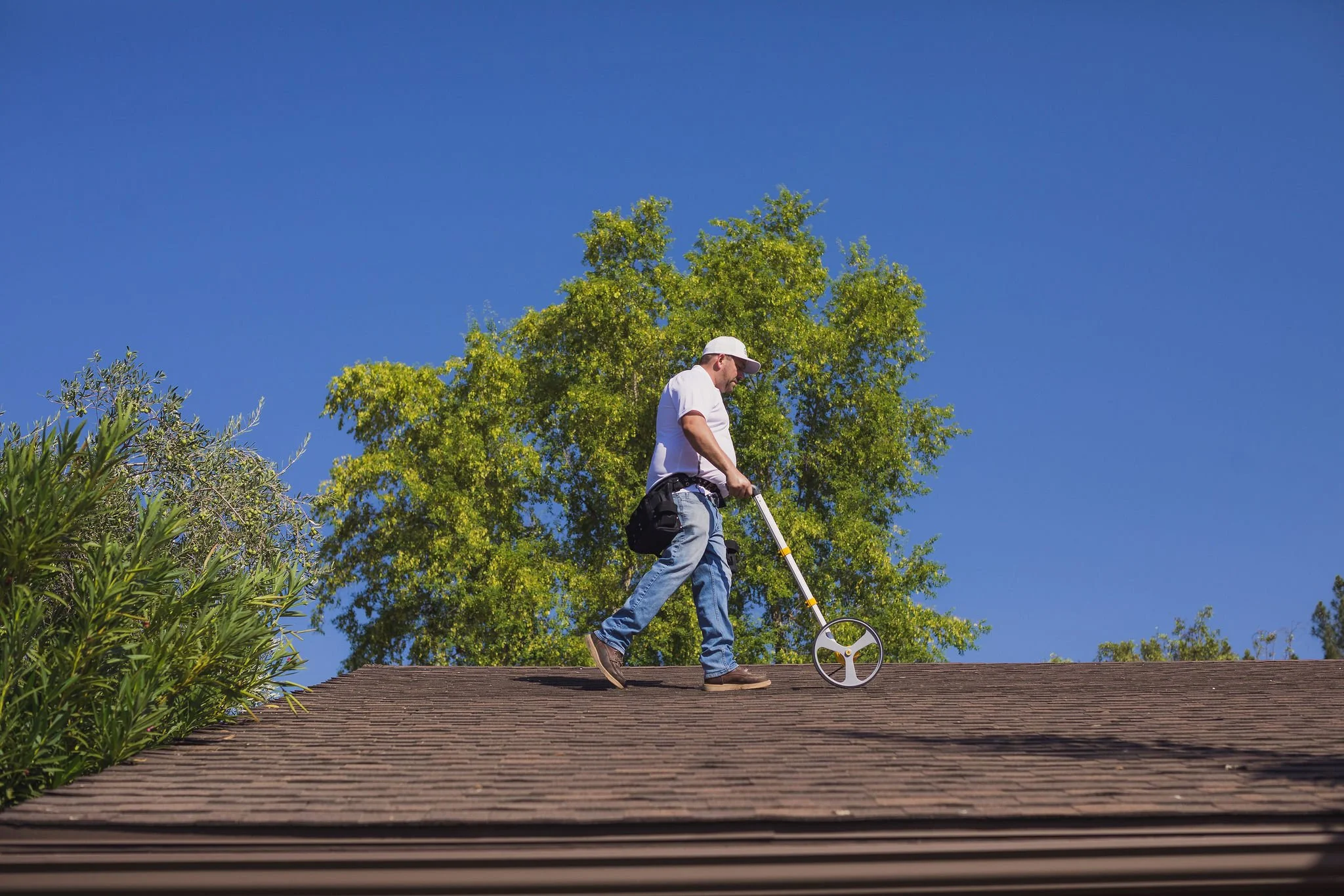 Pro Care Property Solutions team at work